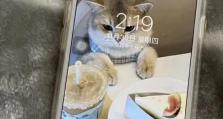 苹果6手机拍照的优势与劣势（探究苹果6手机拍照质量，解析其优点与不足）