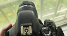 佳能EOS600D（功能强大，易用性出众，适合摄影初学者和业余爱好者）