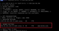 探索最新域名IP查询接口的功能与应用（从多维度解读域名IP查询接口的实用价值）