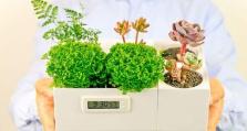 植物发电的未来前景（利用植物进行可持续能源发电的关键技术和挑战）