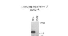 ICam（轻松实现手机远程监控，保护你的家庭和财产安全）
