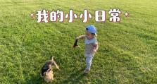 以糖猫事业部的崛起与发展（探索创新模式，引领市场潮流）