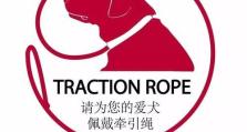 如何对选中的狗狗做标记？（简单有效的方法和关键技巧）