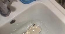 苹果4手机进水后的处理方法及影响分析（苹果4手机进水，应该怎么办？进水后对手机造成的影响有哪些？）
