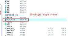 使用U盘进入PE系统的步骤和教程（从制作U盘启动盘到进入PE系统，轻松掌握）