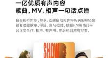 音箱市场的现状与未来趋势（市场竞争日趋激烈，消费者需求多元化，）