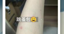 消灭跳蚤的最有效方法（一次告别跳蚤，给宠物和家庭一个清爽的环境）