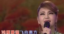 拉芳66顺发节66歌（探索中国民歌的多样性，感受文化的传承与创新）
