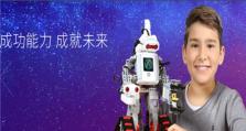 小马11（探索小马11带给编程界的变革）