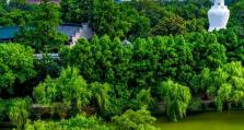以达派手机助手——你的智能生活助手（便捷、智能、高效的手机助手，让你的生活更轻松）